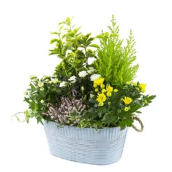 Composition D’Automne : Bassine Zinc, Ø 30 cm - - Coloris Variables