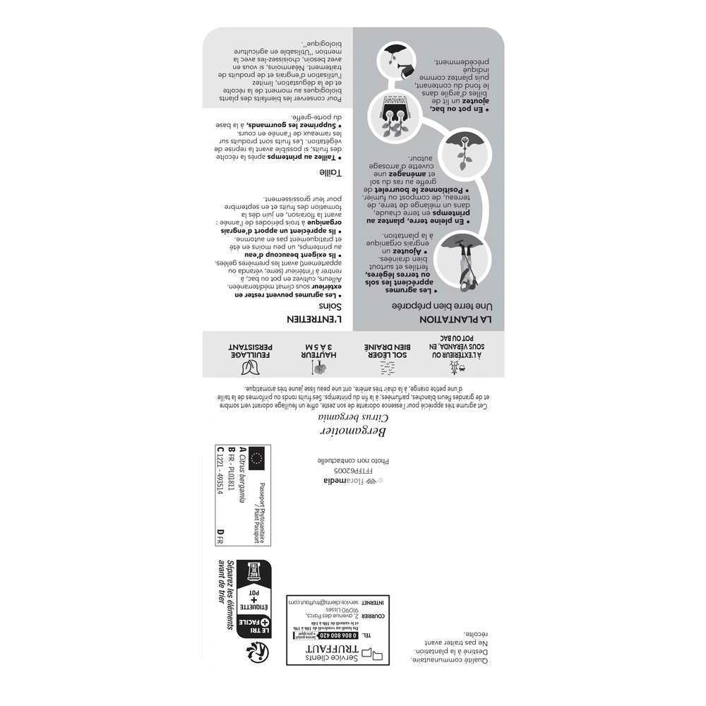 Bergamotier:AB Conteneur 3 Litres – Image 3