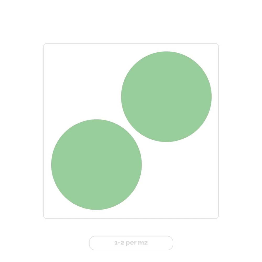 Eucalyptus Gunnii - Gommier - Arbuste - Persistant – ⌀17 Cm - ↕40-50 Cm – Image 3
