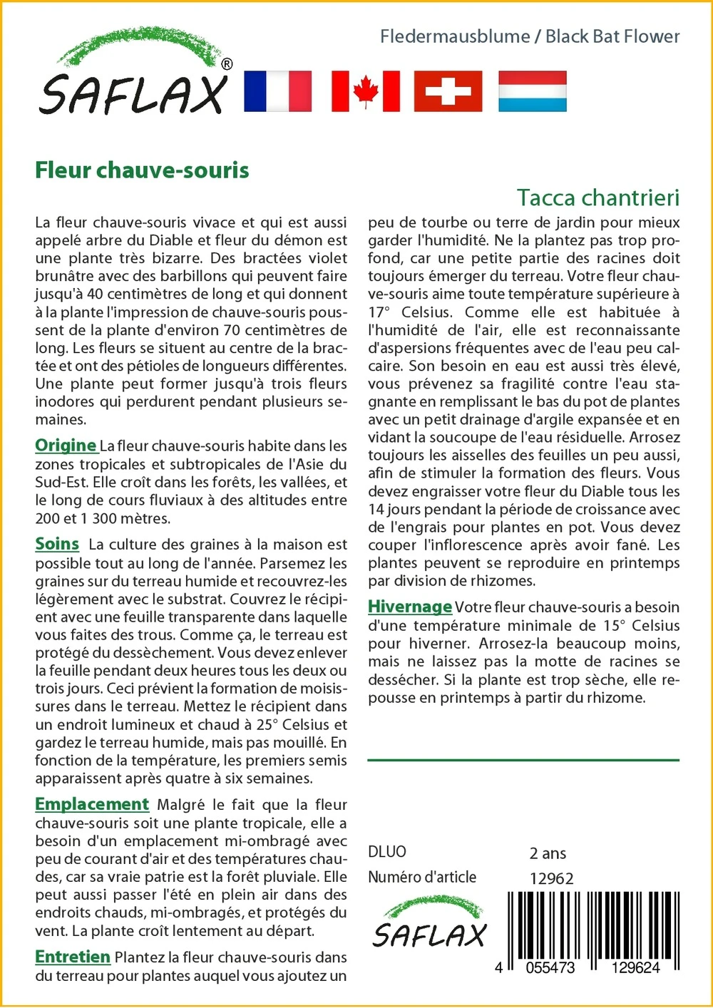 Kit De Culture - Fleur Chauve-souris - 10 Graines - Tacca Chantrieri – Image 3