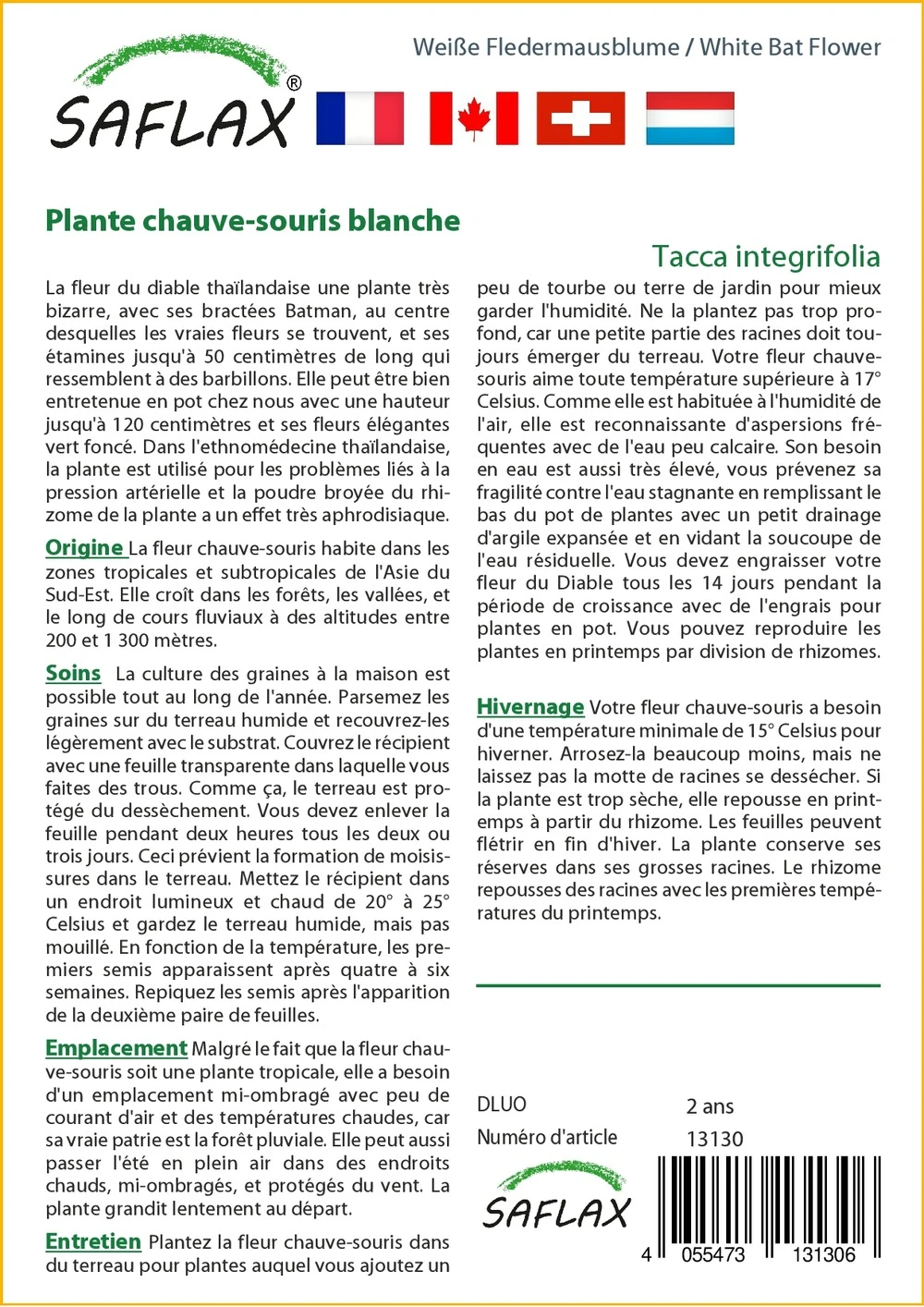 Kit De Culture - Plante Chauve-souris Blanche - 10 Graines - Tacca Integrifolia – Image 3