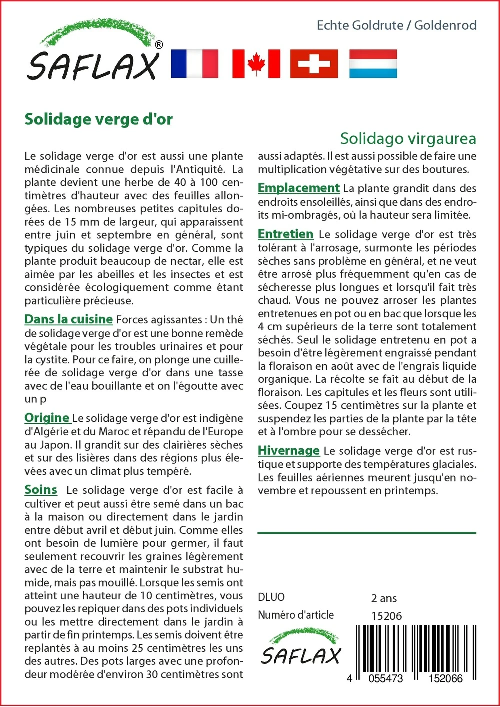 Kit De Culture - Solidage Verge D'or - 100 Graines - Solidago Virgaurea – Image 3