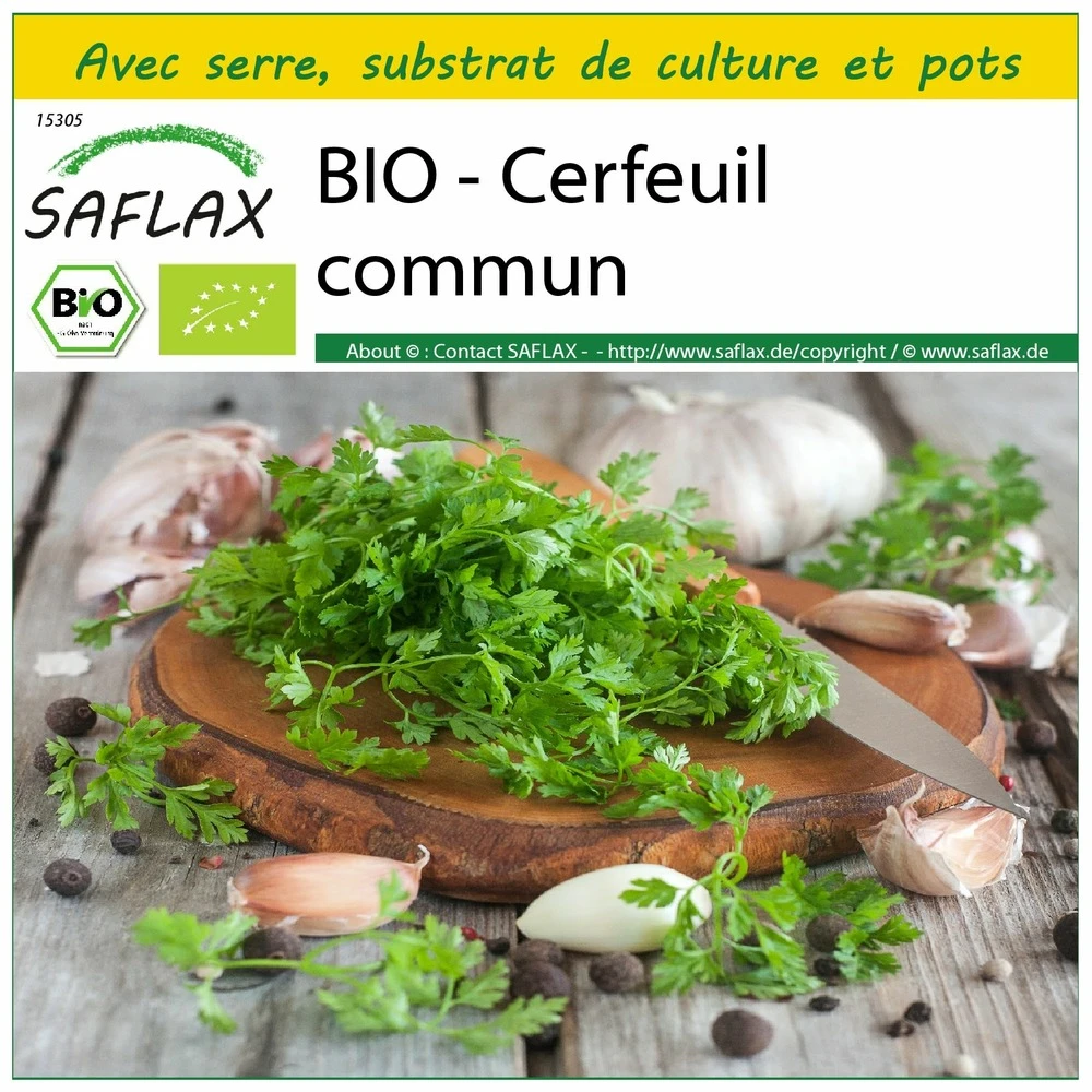 Kit De Culture - Bio - Cerfeuil Commun - 800 Graines - Anthriscus Cerefolium