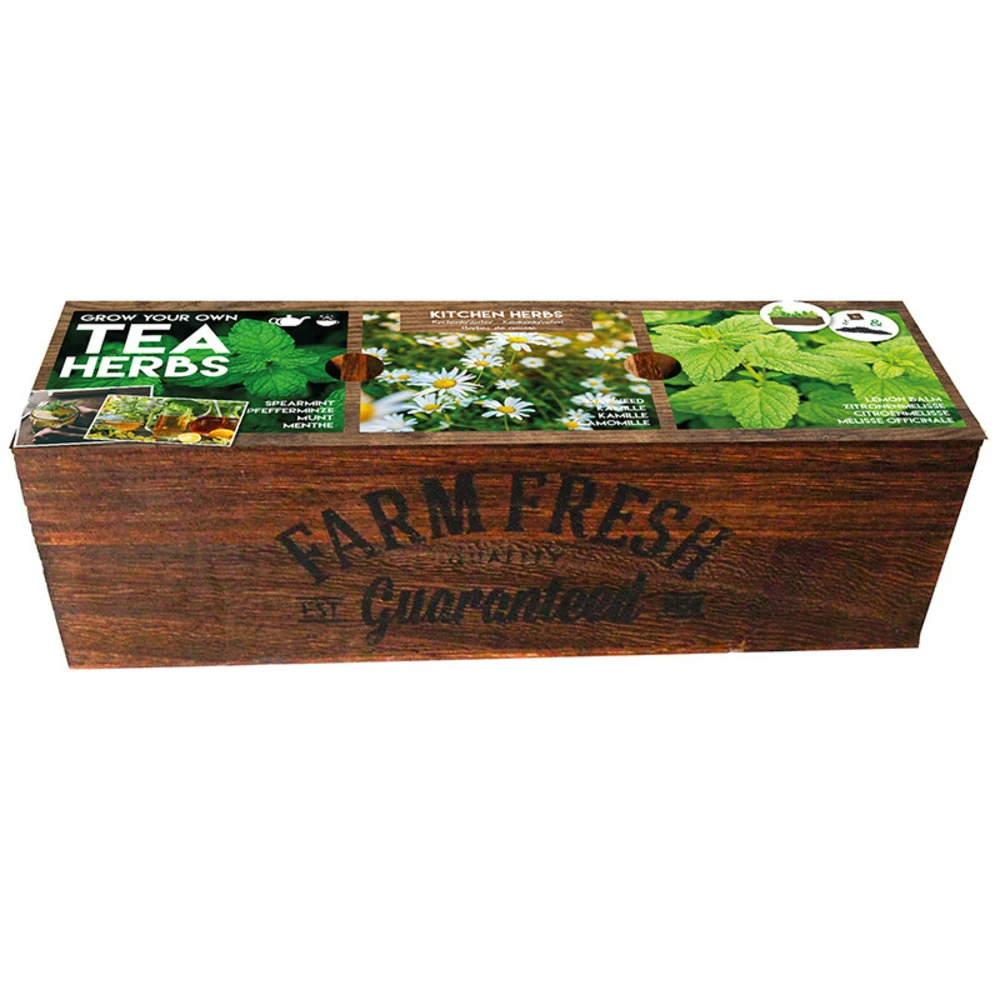 Kit Prêt à Pousser - Herbes à Thé