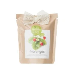 Kit Bio PrĂŞt Ă Pousser Fraise