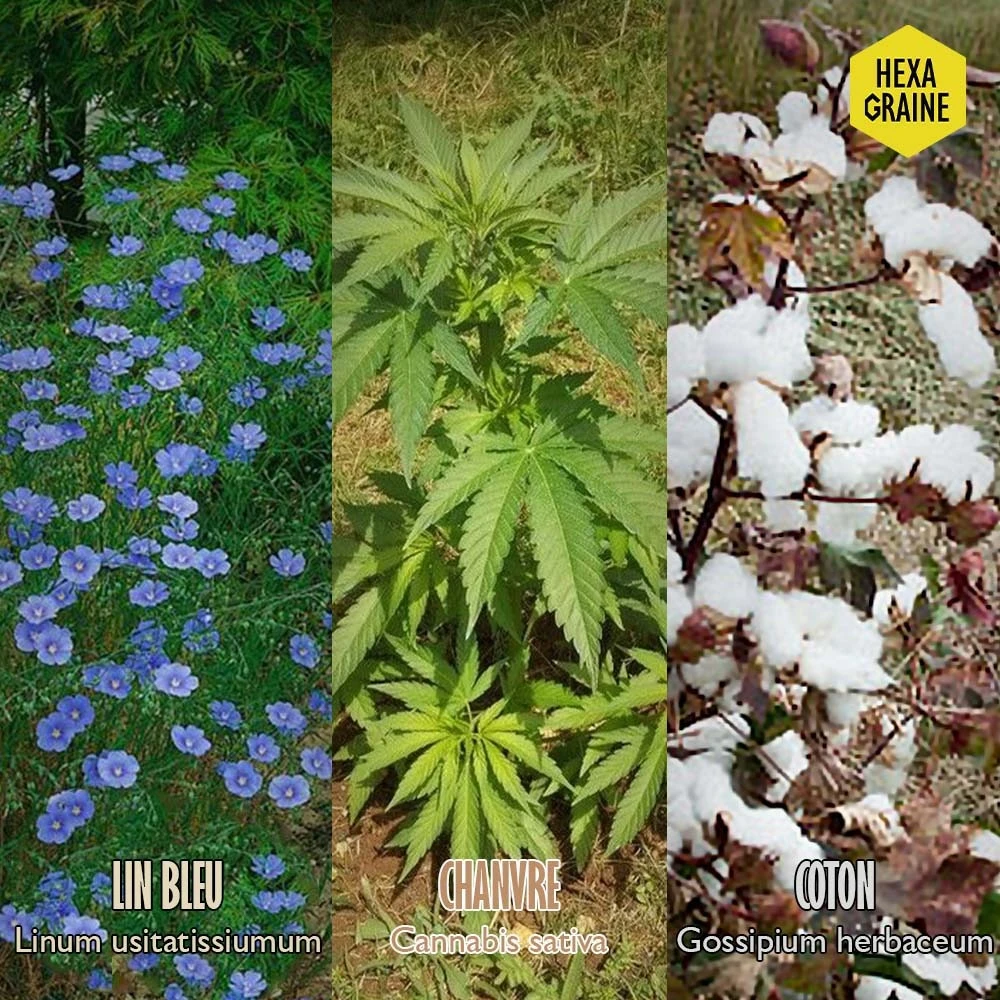 Coffret De Semences Textile Tissus Etoffe Et Fil – Image 7