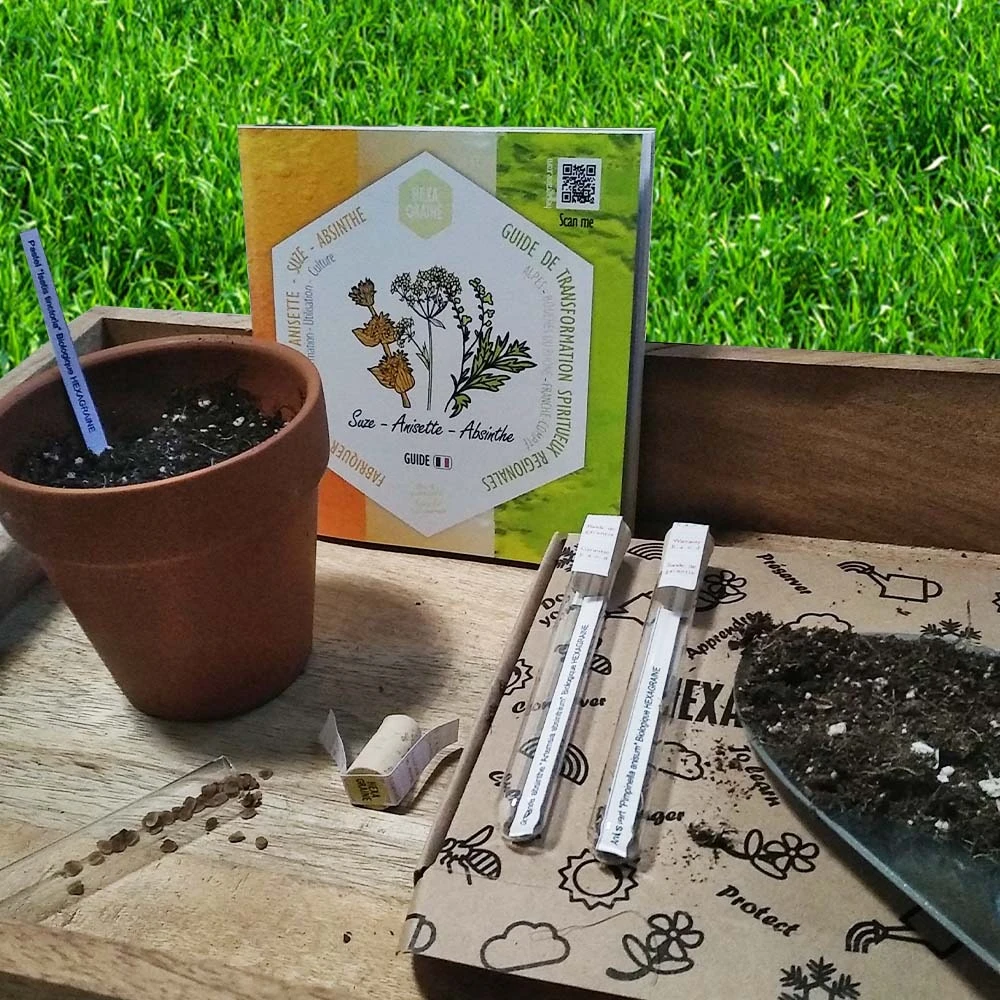 Coffret De Semences Médicinales Aromatique Apéritifs Régionaux – Image 6