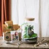 Kit Diy Terrarium - Cortica & Son Kit Outils