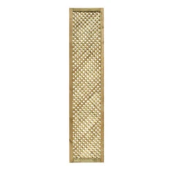 Treillis Passiflore - H.180 X L.40cm